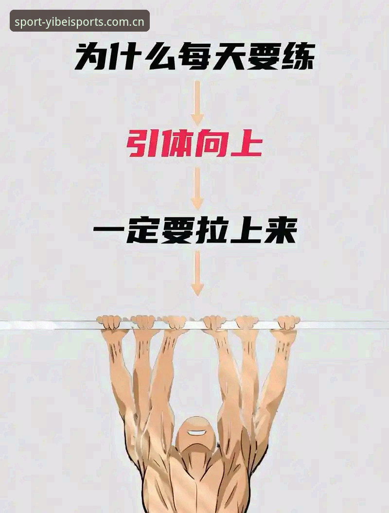 易倍体育使用教程哪个好 揭秘易倍体育使用教程背后的真相:新手如何快速上手?